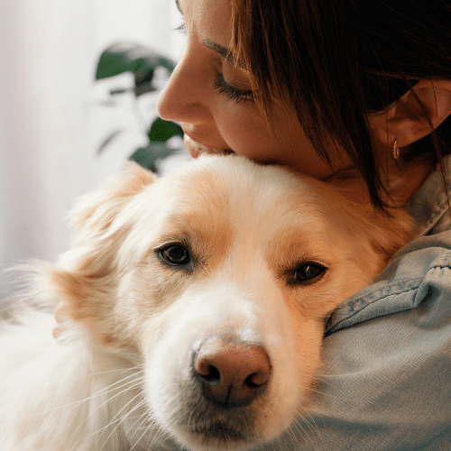 a vet holding a dog