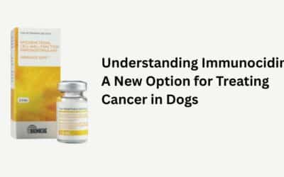 Understanding Immunocidin: A New Option for Treating Cancer in Dogs