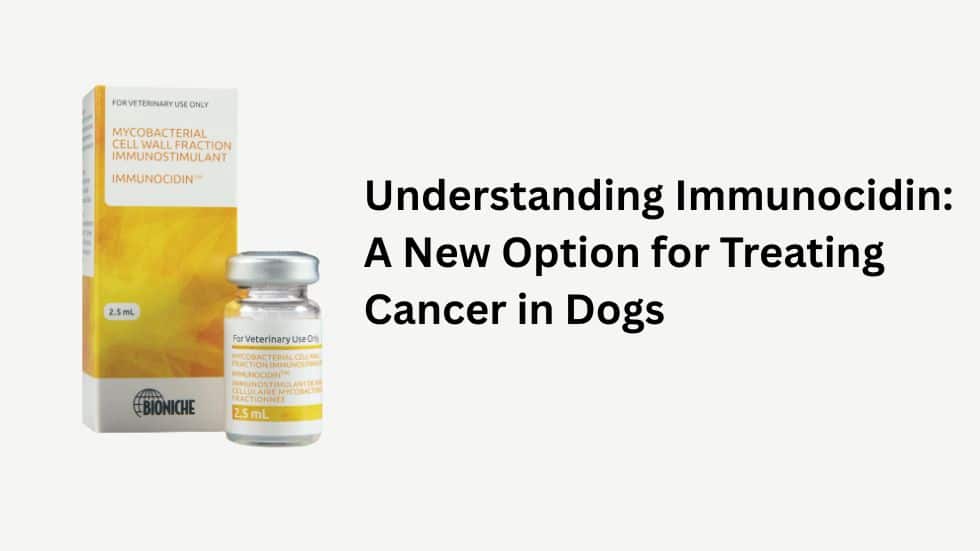 Understanding Immunocidin